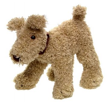 Colin The Puppy