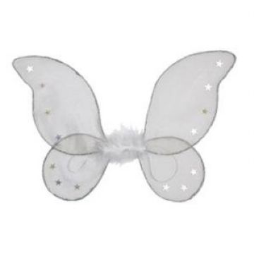 Elegant Fairy Wings