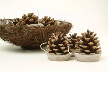 Flicker Cones