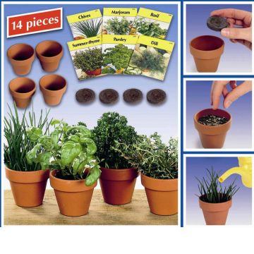 Kitchen Herb Set