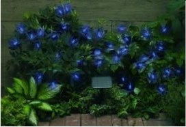 Solar Powered String Lights Blue